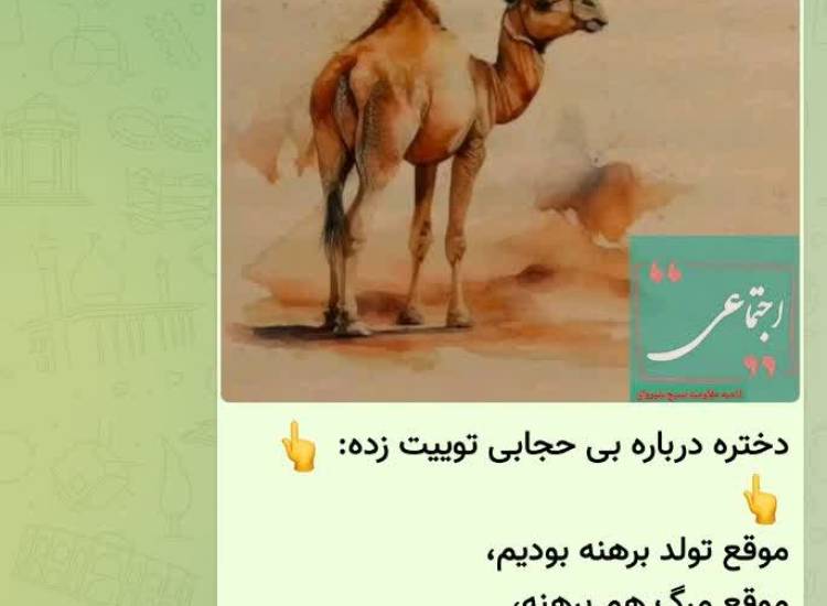 ترویج فرهنگ عفاف و حجاب 